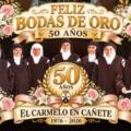 50 años de las Madres Carmelitas en Cañete: Crónica de su llegada y misión
